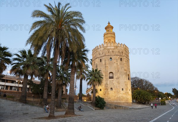 Torre del Oro