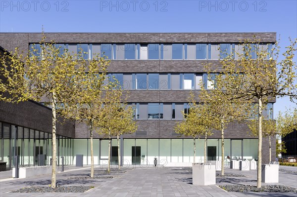 EBZ Business School