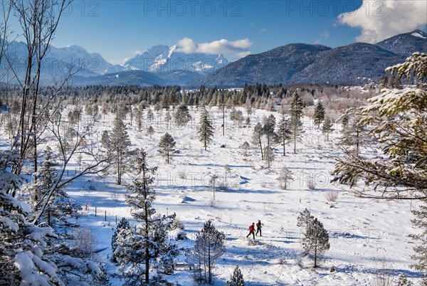 Winter landscape with Zugspitze group in the Wetterstein mountains and cross-country skiers in the Isatal