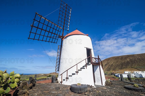 Windmill in the Jardin de Cactus