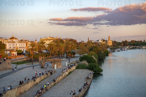 Waterfront promenade Muelle de la sal at the river Rio Guadalquivir with Monumento a la Tolerancia and Torre del Oro