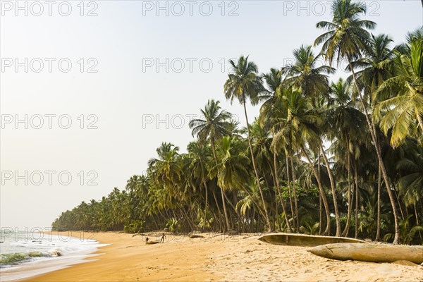 Palm trees and dugout canoes