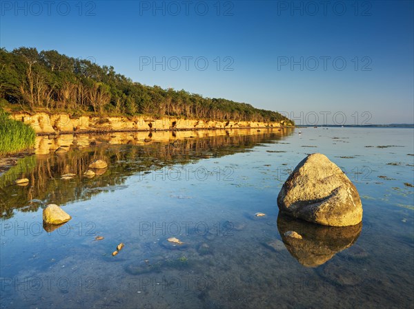 Erratic boulder in front of the cliff of the Baltic Sea in the evening light