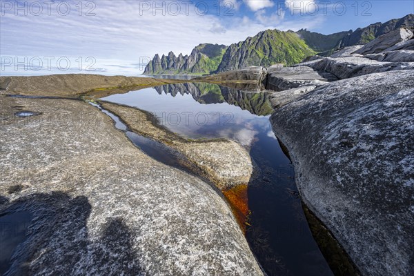 Tidal pool