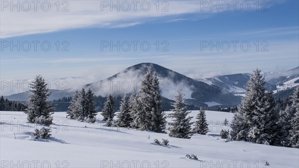 Winter Almenland