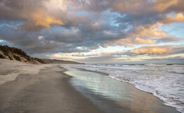 Sandy beach beach at sunset