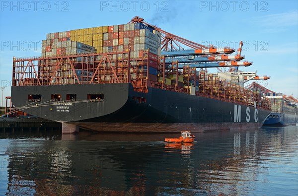 Container ships and mooring boat