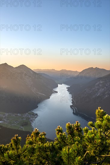 Mountain landscape with mountain pine at sunset