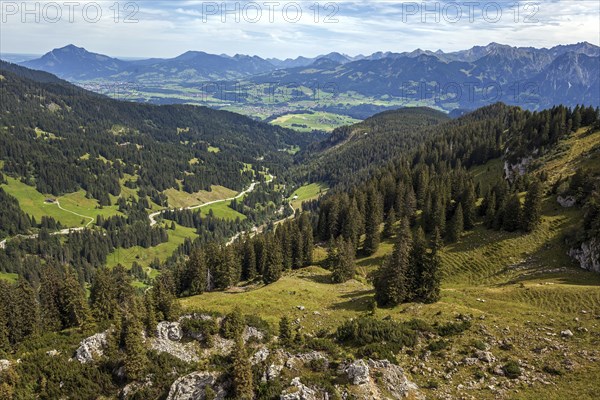 View from Besler ridge to Riedberg road