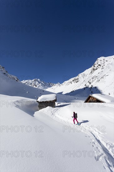 Lonely ski tourer