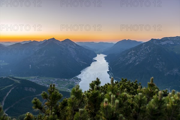 Mountain landscape with mountain pine at sunset