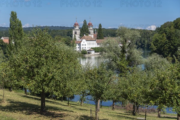 Rhine and Monastery Island