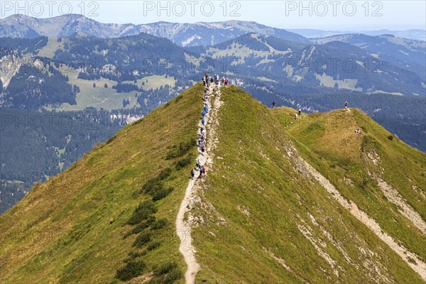 Hiker on the ridge trail Fellhorngrat between Fellhorn summit and Soellerkopf