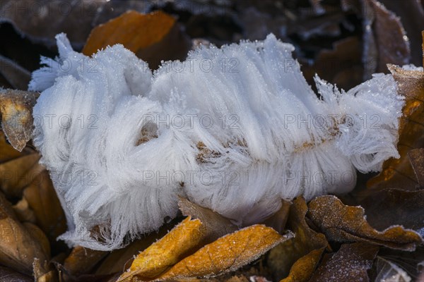 Hair ice