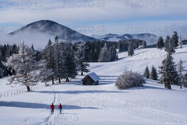 Winter Almenland with snowshoe hikers