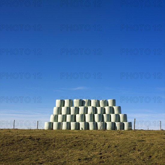 Plastic wrapped bales of straw