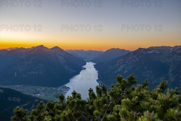 Mountain landscape with mountain pine at sunset