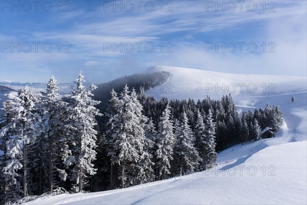 Plankogel