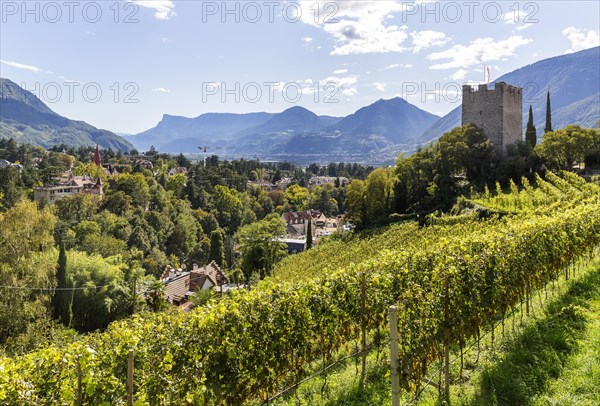 Former keep of Ortenstein Castle