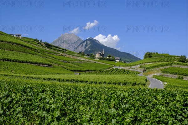 Rhone Valley