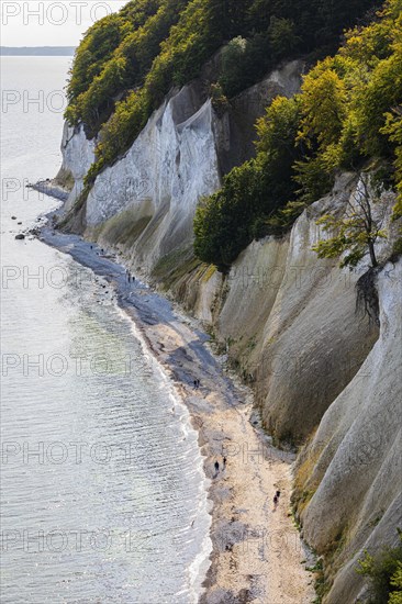 Tourists on the beach below the chalk cliffs