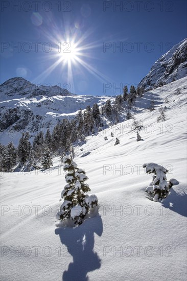 Winter landscape with sun star and powder snow