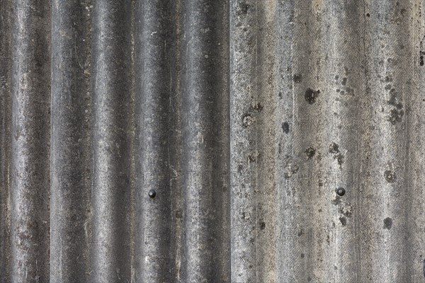 Detail of branch asbestos plates