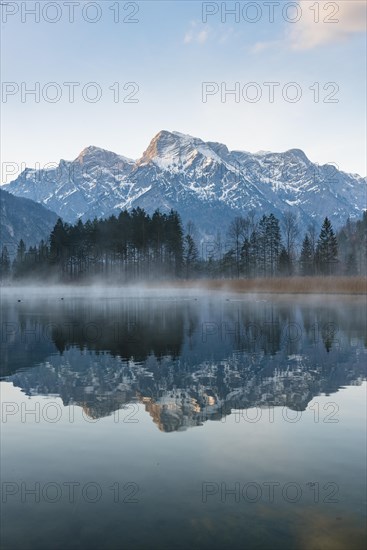 Morning atmosphere at the Almsee