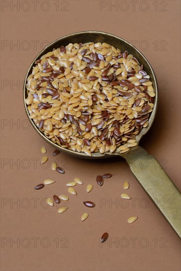 Yellow and brown linseed in trowel