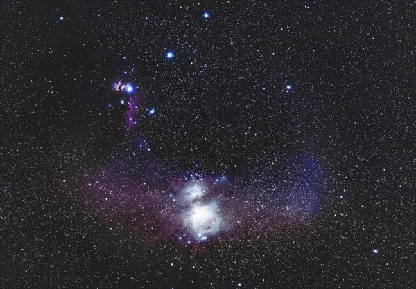 Constellation Orion with Orion and Horsehead Nebula