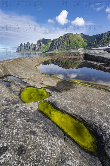 Tidal pool