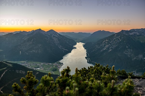 Mountain landscape with mountain pine at sunset