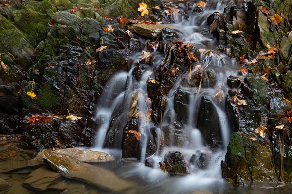 Flowing water in a rocky streambed near Winterberg