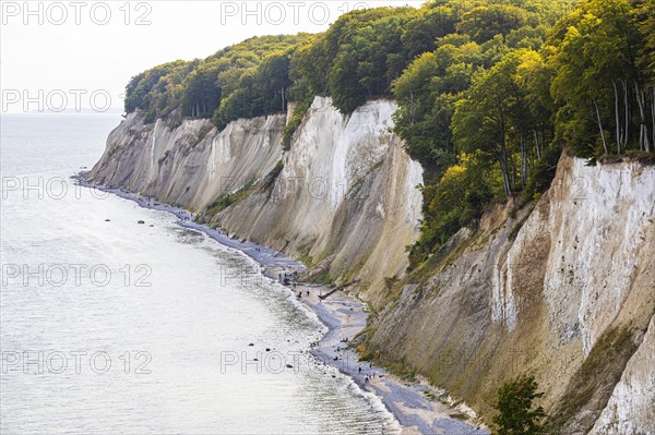 Tourists on the beach below the chalk cliffs