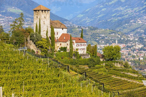 Lebenberg Castle above vineyards