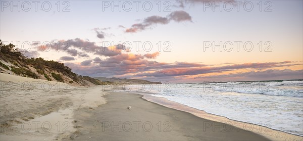 Sandy beach beach at sunset