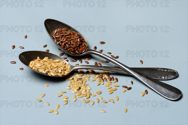 Yellow and brown linseed