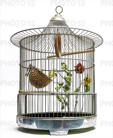 Faded flower in a bird cage