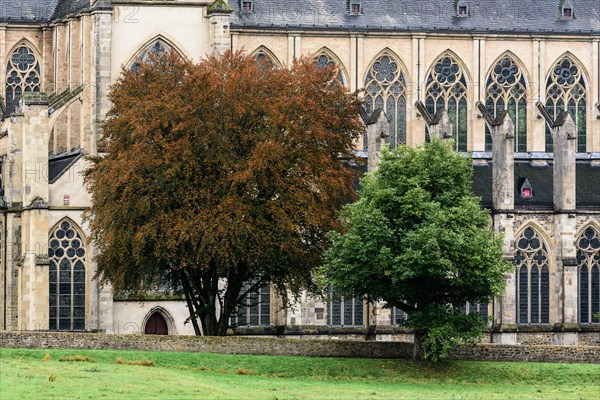 Trees in front of the gothic facade of the Altenberg Cathedral