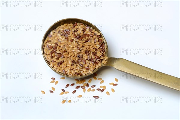 Yellow and brown linseed in trowel