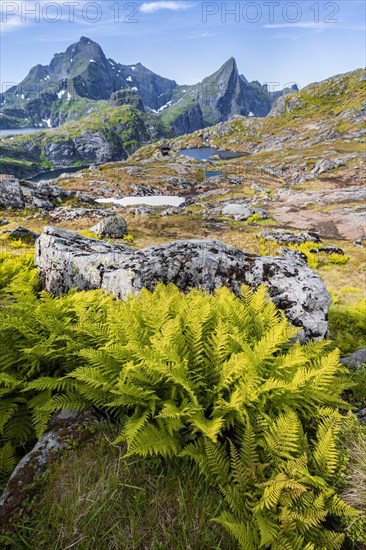 Mountain landscape