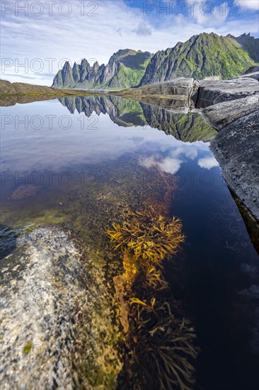 Tidal pool