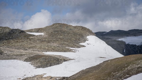 Snow-covered barren highlands with a herd of reindeer