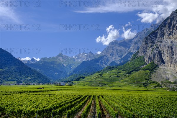 Rhone Valley