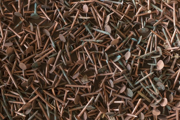 Rusty copper nails