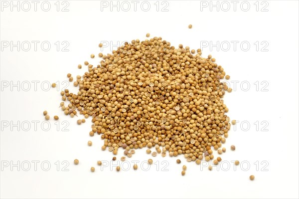 A pile of coriander seeds against a white background