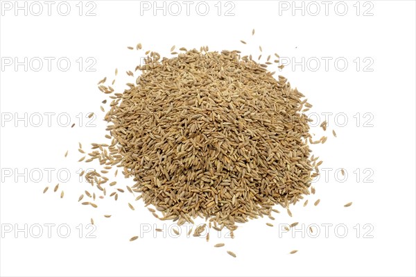 A pile of cumin seeds against a white background