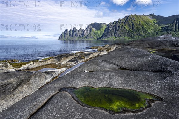 Tidal pool