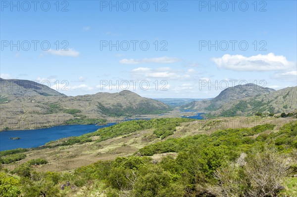 View over Killarney National Park from Lady's View