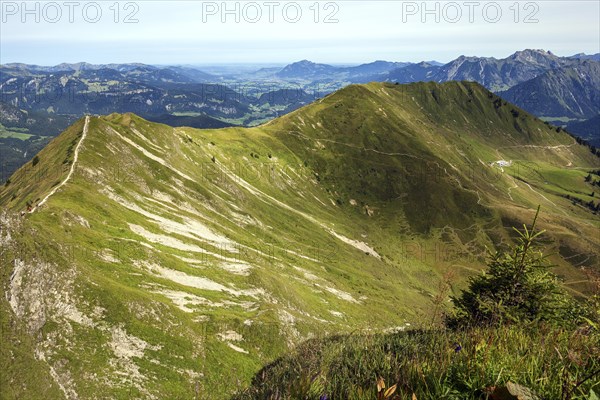 Ridge hiking trail Fellhorngrat between Fellhorn summit and Soellerkopf